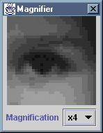 screendump of ImageViewer's magnifier